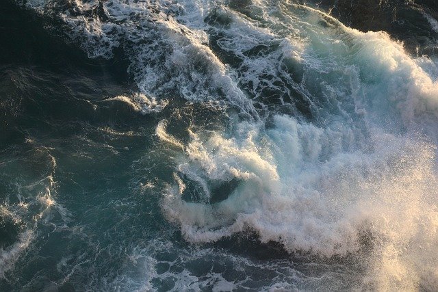 Craig Watts tweet media