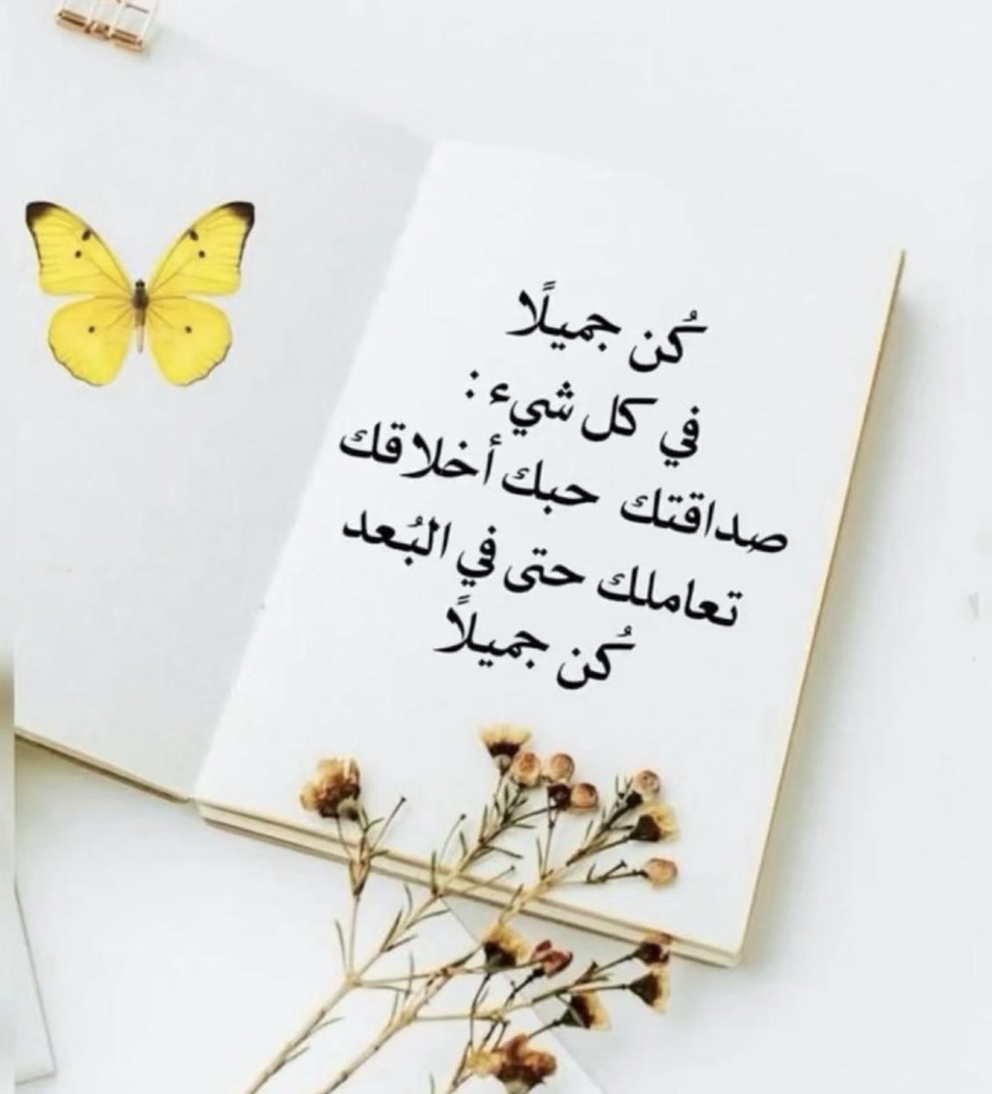 Mahmoud El-Tanany tweet media
