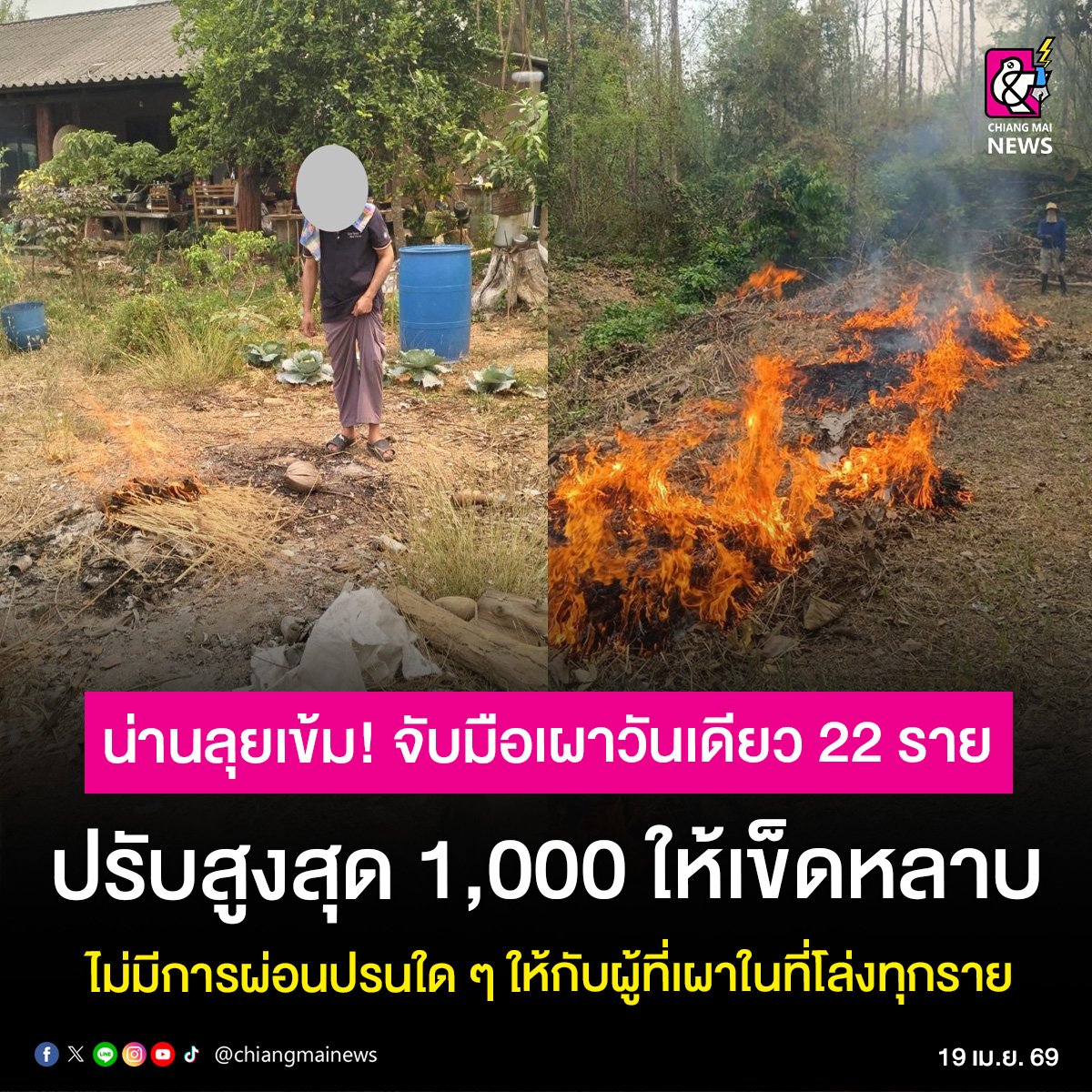 Chiang Mai News tweet media