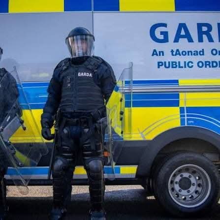 Paddy McKenna tweet media