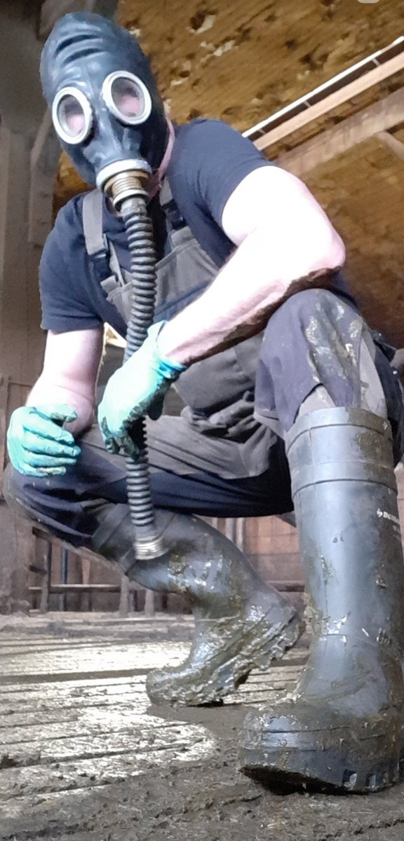 PuroHaix tweet media