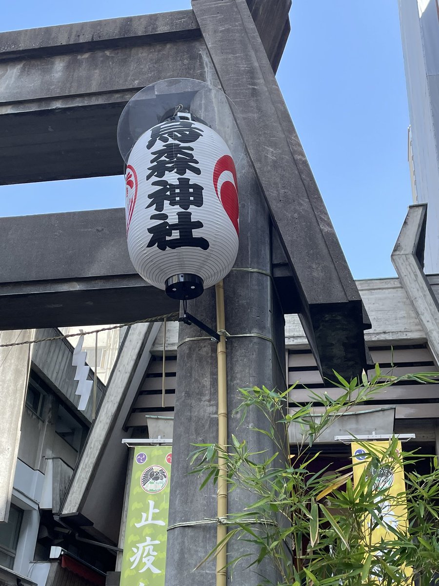 oldcatmoo's tweet photo. メイちゃん　命日

大人の保護猫（女子）を迎えた飼い主さんは、乳腺の定期チェックを！
早期発見なら大丈夫👌

扁平上皮癌には勝てなくて苦しかったね
世の同じ病の人も猫も犬にも平安を！
頑張れる力を！
信じる勇気を！ https://t.co/ePPzXJOmOi
