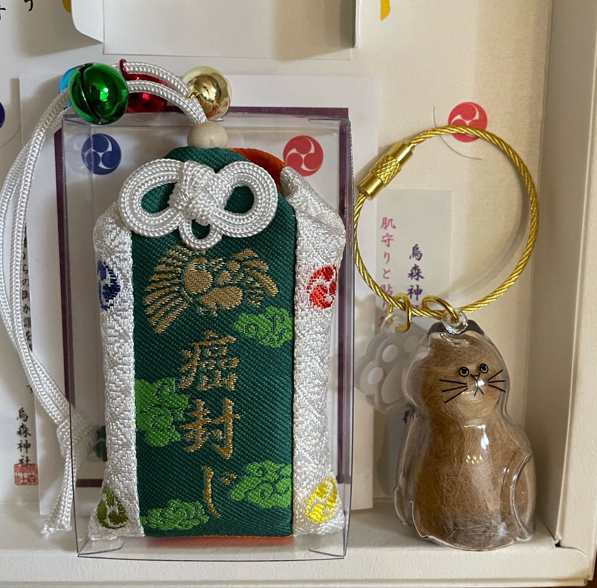 oldcatmoo's tweet photo. メイちゃん　命日

大人の保護猫（女子）を迎えた飼い主さんは、乳腺の定期チェックを！
早期発見なら大丈夫👌

扁平上皮癌には勝てなくて苦しかったね
世の同じ病の人も猫も犬にも平安を！
頑張れる力を！
信じる勇気を！ https://t.co/ePPzXJOmOi