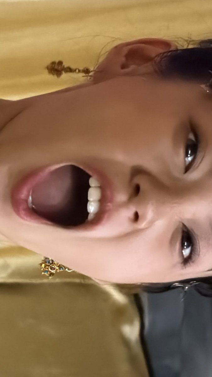 (•- •マ– imeowmook_ark tweet media