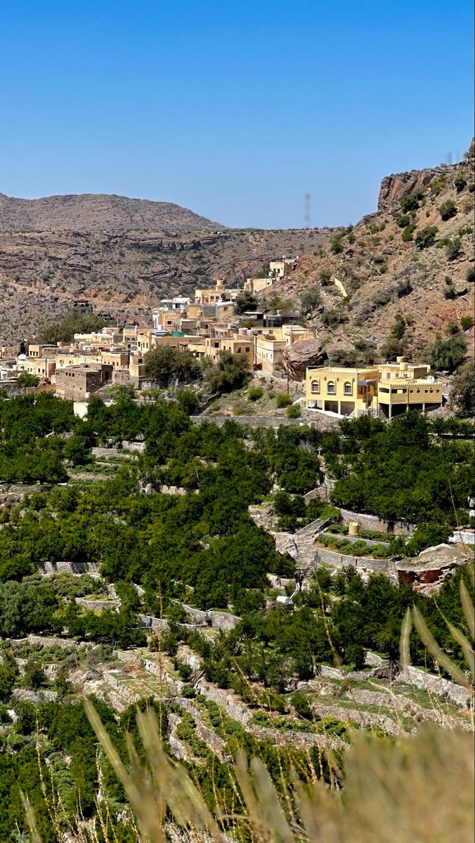 ‏﮼عبدالعزيز ﮼🫀💉 tweet media