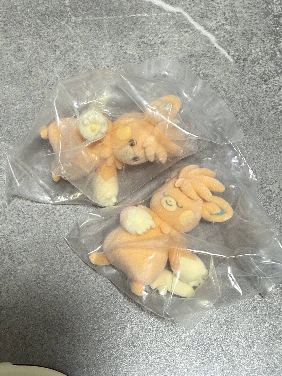 ふぉん㌥🎀/ﾌﾟﾛｶ有 tweet media