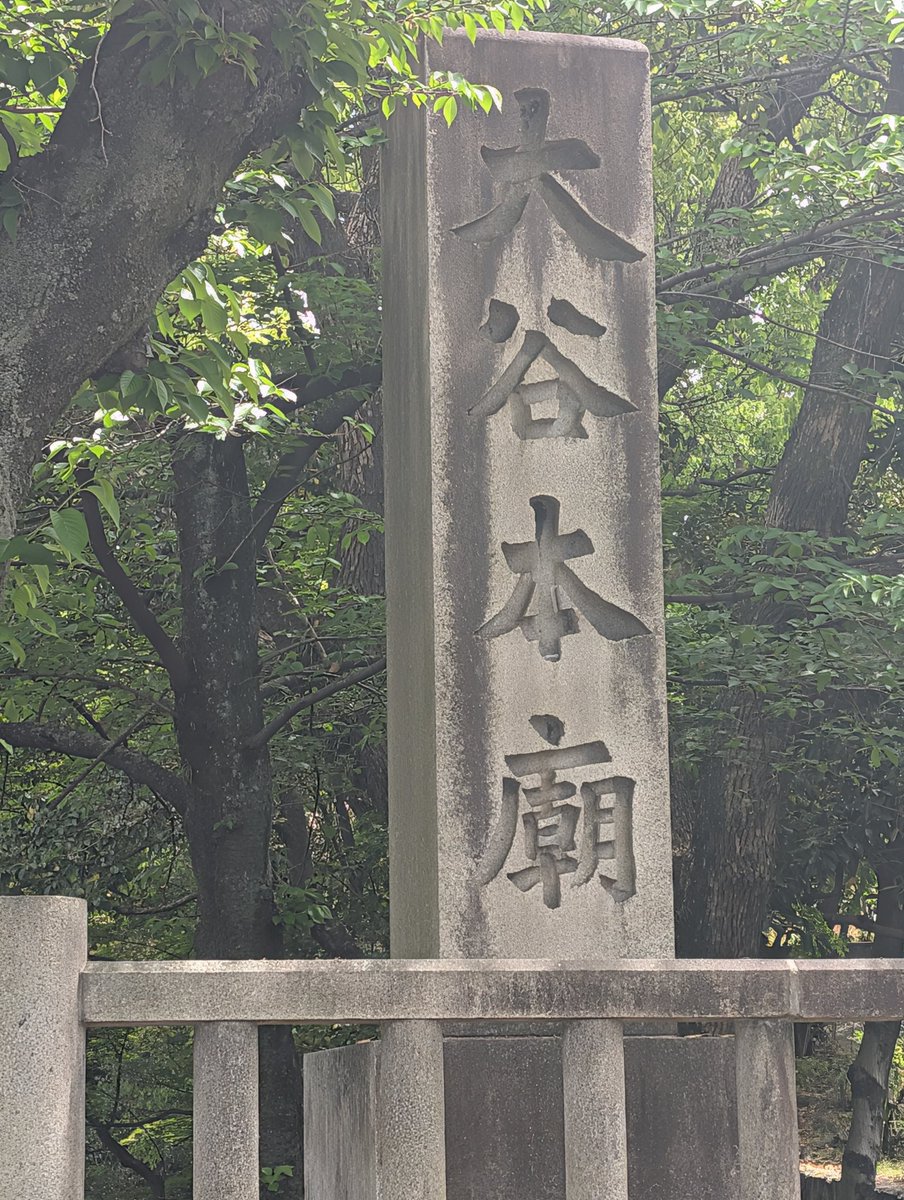 ひぃろ👼じゅーん😎 tweet media