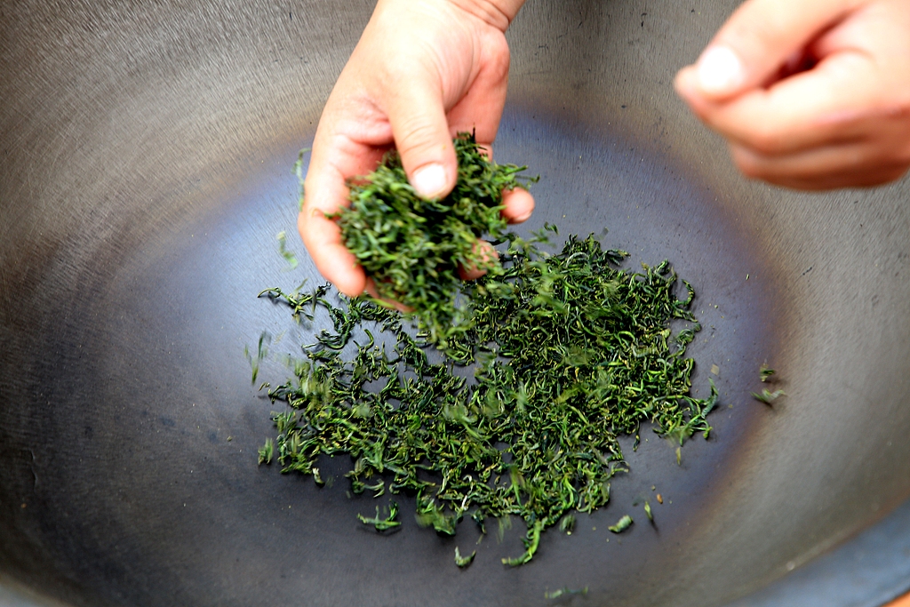ChinaDaily's tweet image. A green #tea spring #harvest ceremony kicks off the green tea spring picking season in Rizhao, #Shandong. 🍵The event signals the start of harvest at the region's sprawling 160,000 mu (about 10,667 hectares) tea plantations, launching the first flush green tea season along