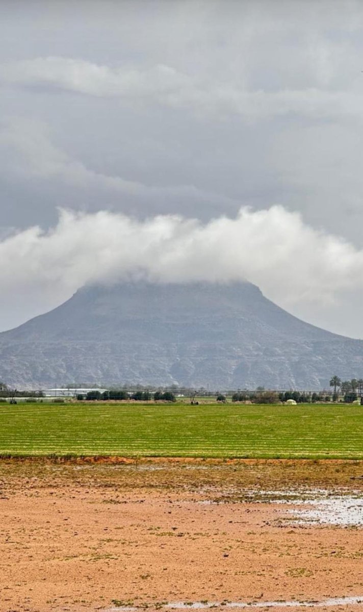 #فريق_طقس_المملكة 🇸🇦 tweet media