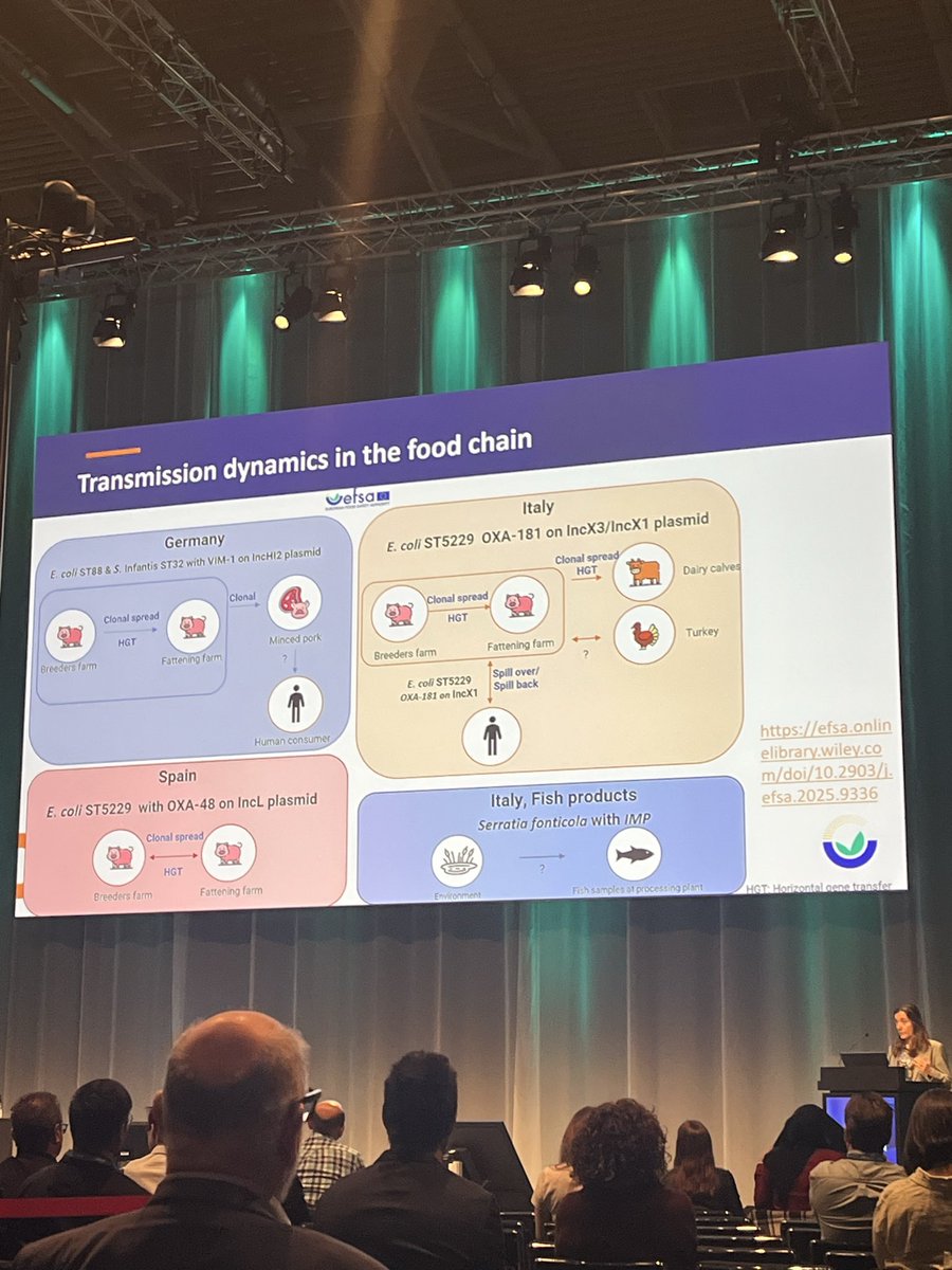 Anna Giulia Salvadori tweet media