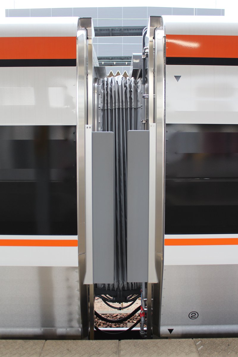 Plumeriaさんご(群) tweet media