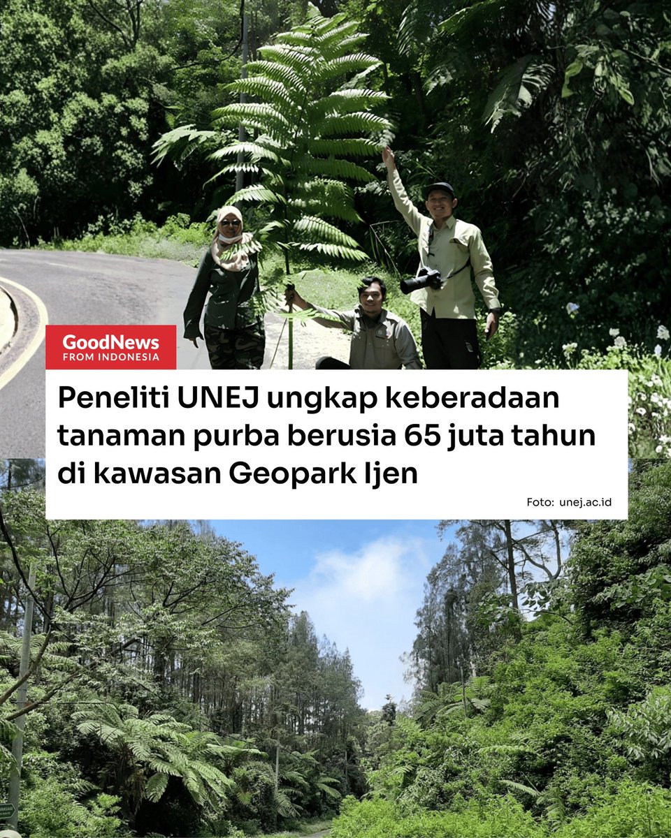 Good News From Indonesia tweet media