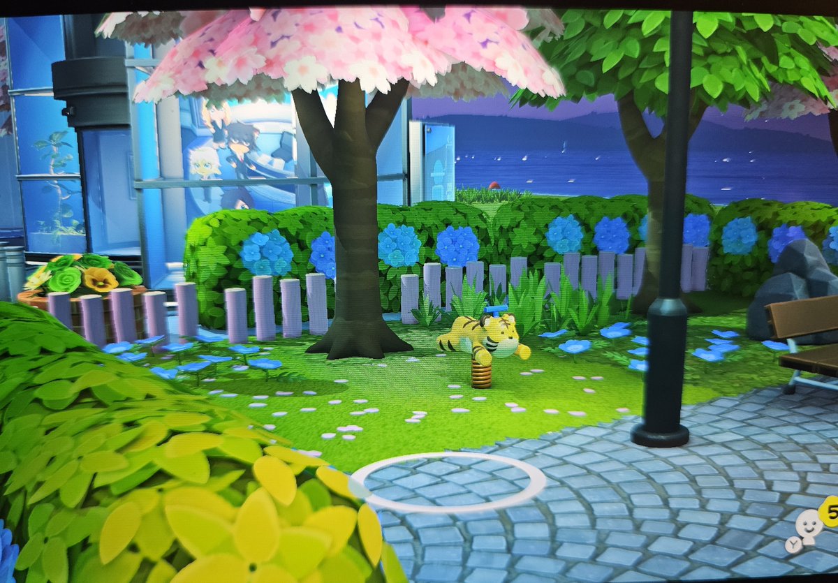 🐇まる tweet media