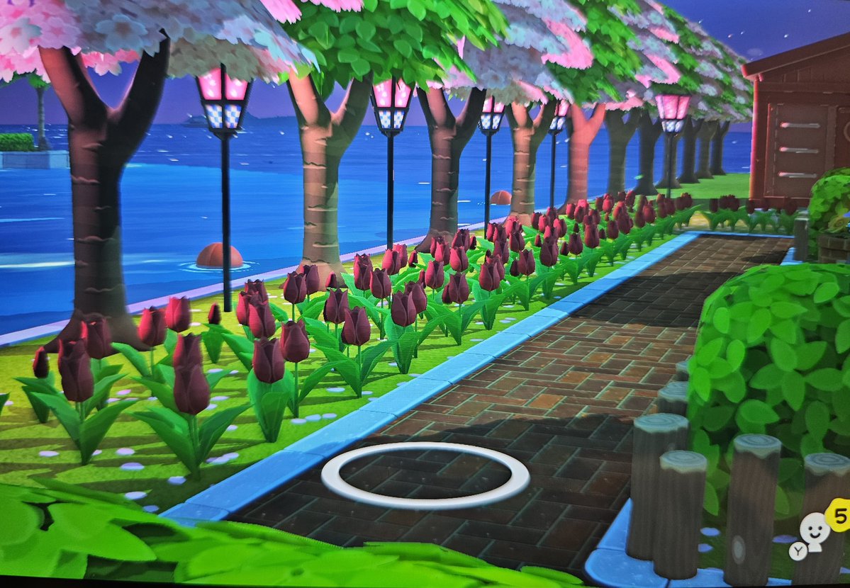 🐇まる tweet media