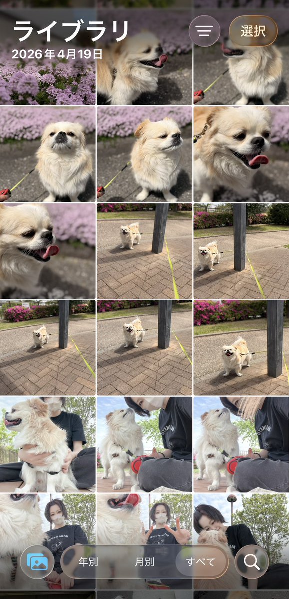 東雲ᒼᑋªⁿ♥︎ tweet media