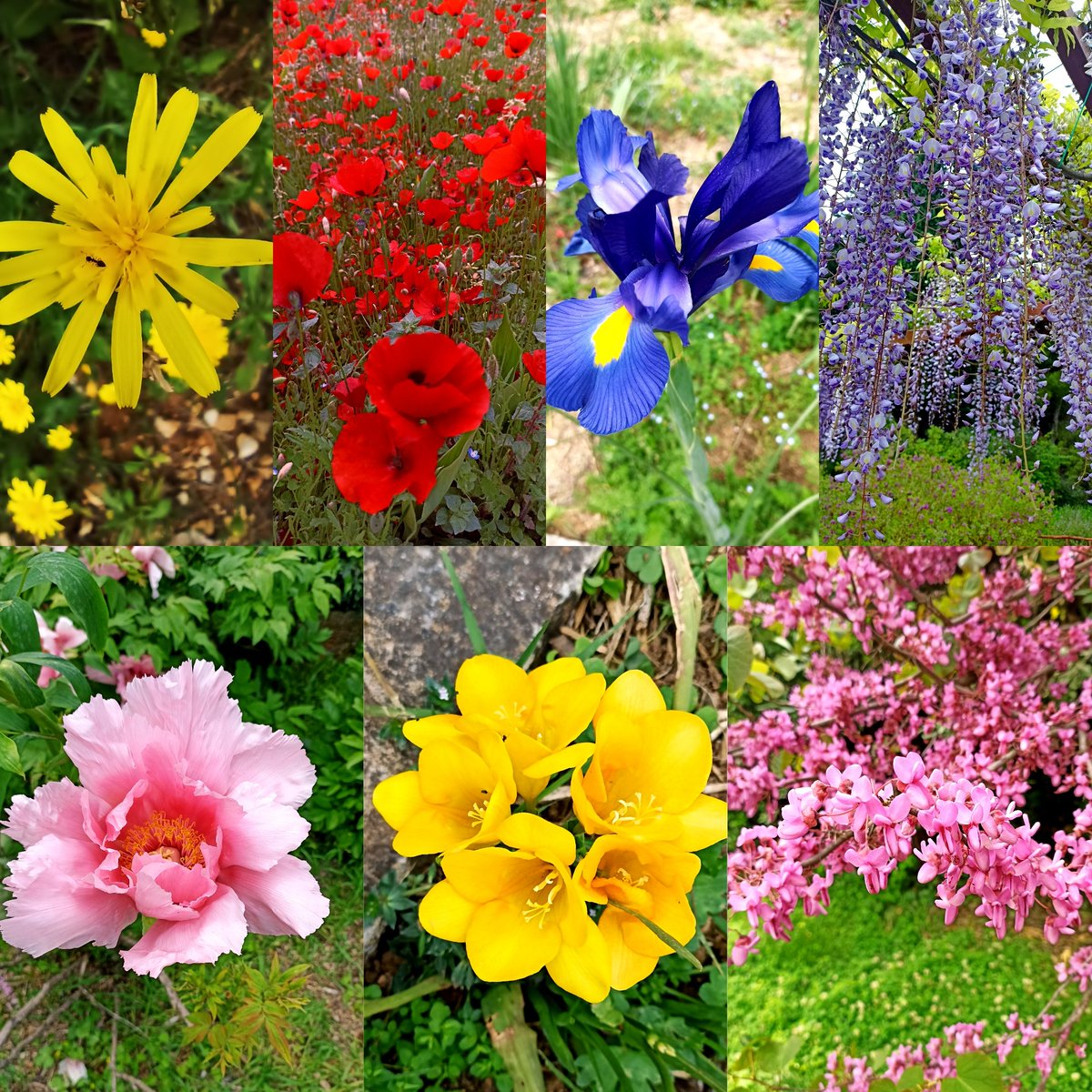 Nike Morgan 🖖🏼🌿✨🏛️🤿☮️ (pron: Niki) tweet media