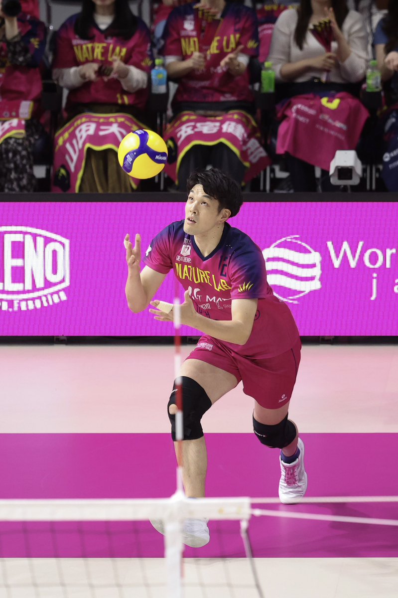 東京グレートベアーズ【バレースクール】 tweet media