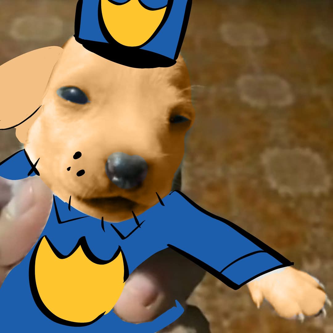 Blassie B. tweet media