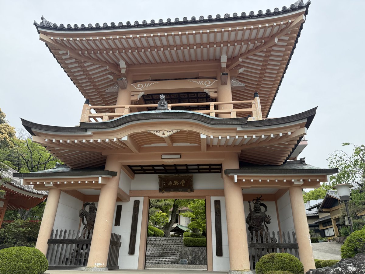 🐈‍⬛🎀 tweet media