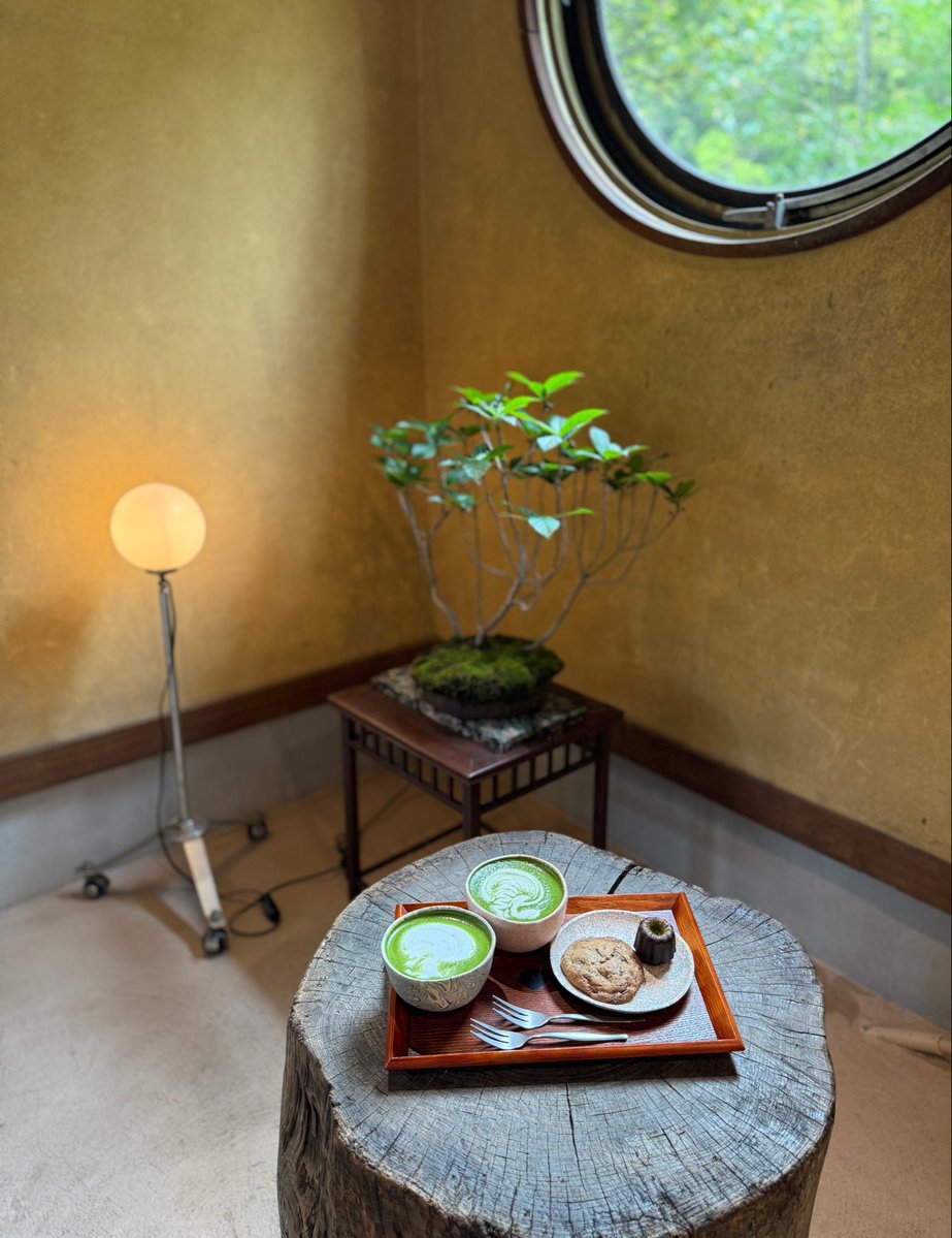 🐈‍⬛🎀 tweet media