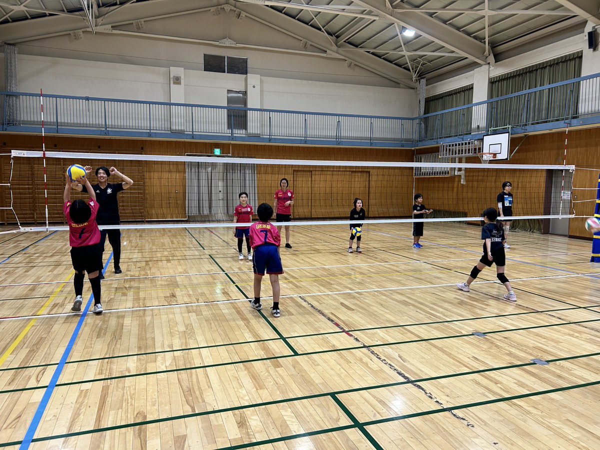 東京グレートベアーズ【バレースクール】 tweet media