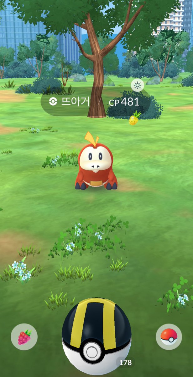 헤르만(Hermann) tweet media