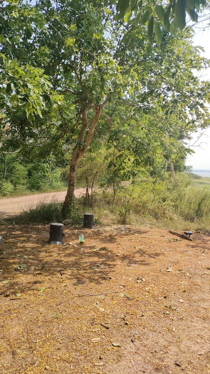 PA.คู่แท้ tweet media