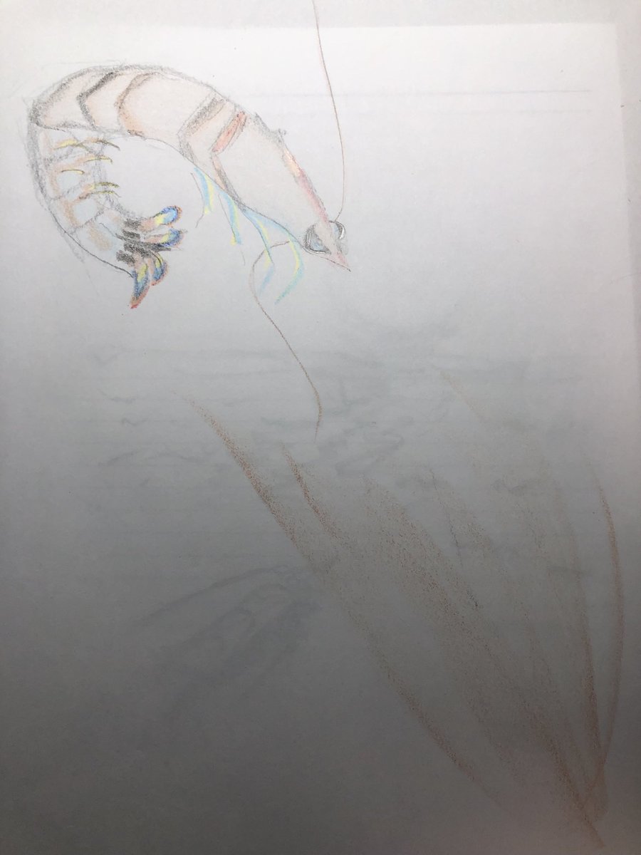 UooCan's tweet photo. お絵描きしてます。
素人ですが絵を生業にしたいです。 https://t.co/P4zuzJyM4e