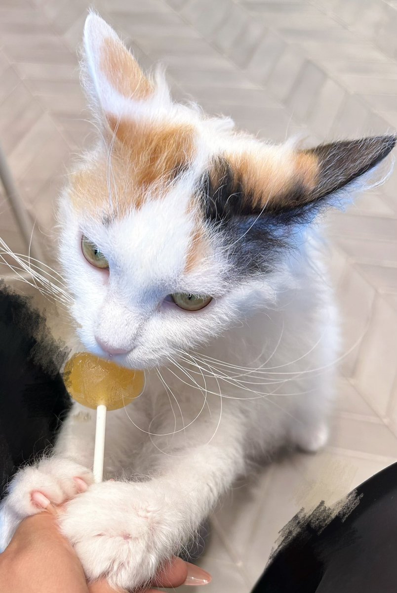 えま 🍓 イストワール tweet media