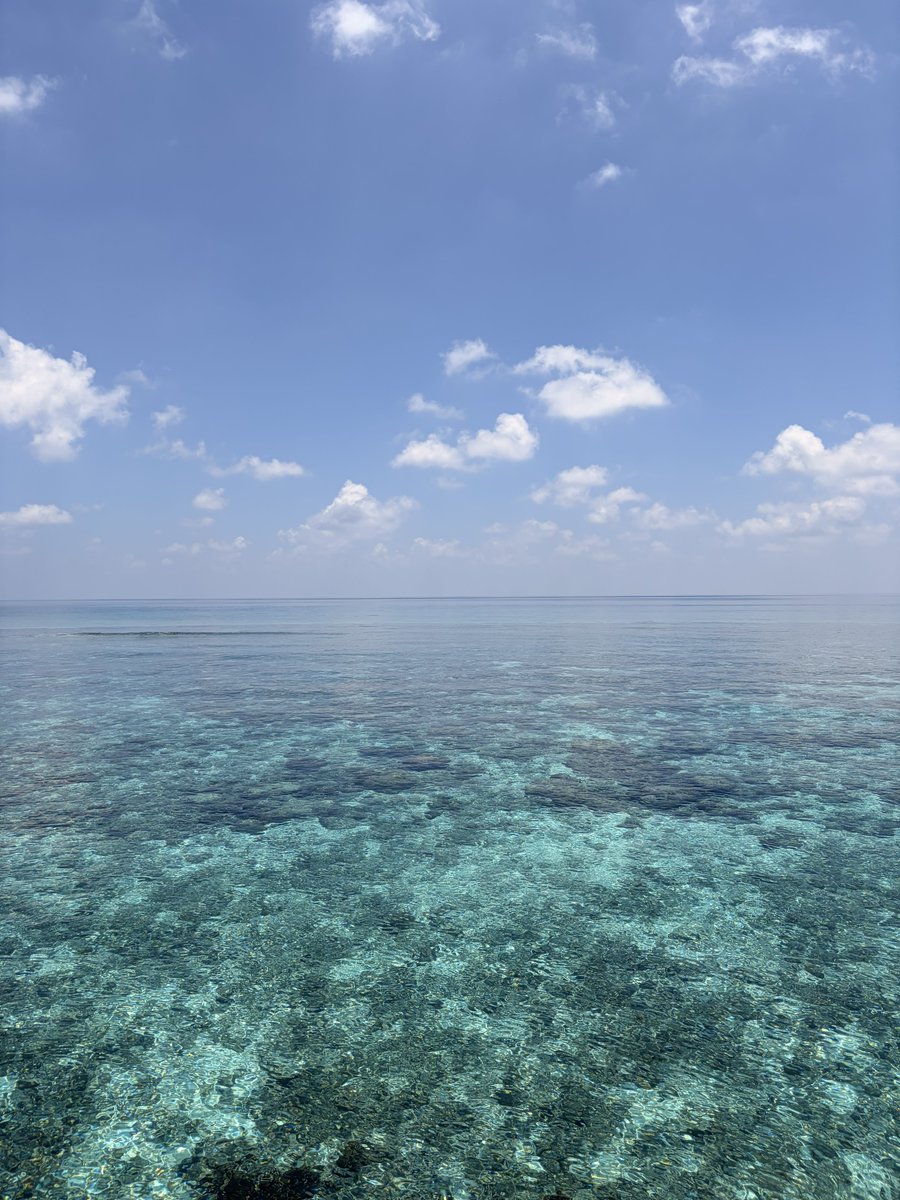 純@地方公務員投資家 tweet media