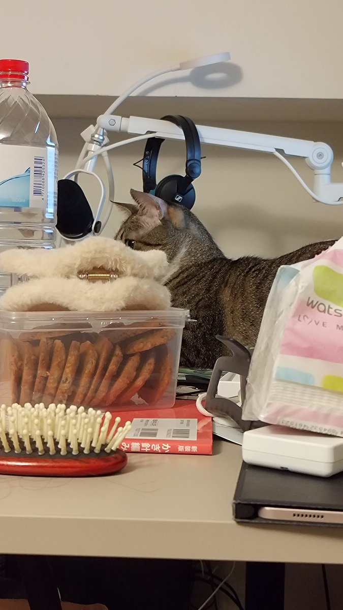 牙白Yabi tweet media