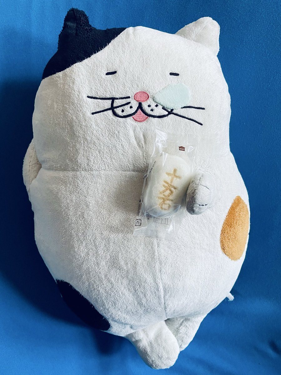 D97832037's tweet photo. おばあちゃんに会いに行ってきましたニャァ〜👵🧡
会えて嬉しかったニャッ💛
今日のオヤツは十万石まんじゅう😽
うますぎる！！

#十万石まんじゅう　#でぶねこ　#おばあちゃん https://t.co/15LHSR5YRx