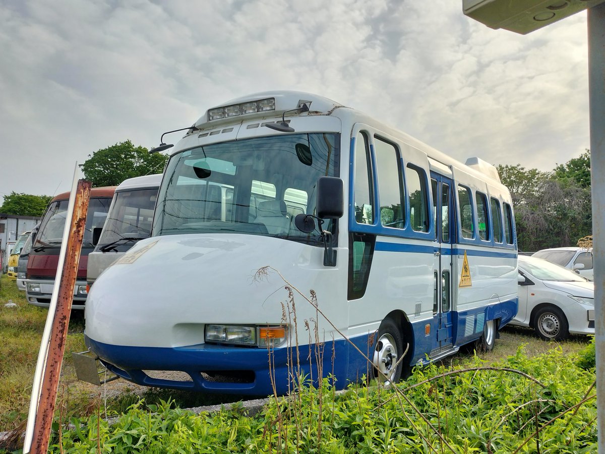 西東都 tweet media