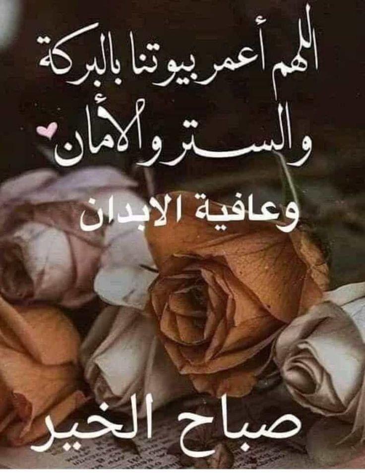 10Elgamel's tweet photo. @MS3171707776287 https://t.co/7CQ4TQVZFh