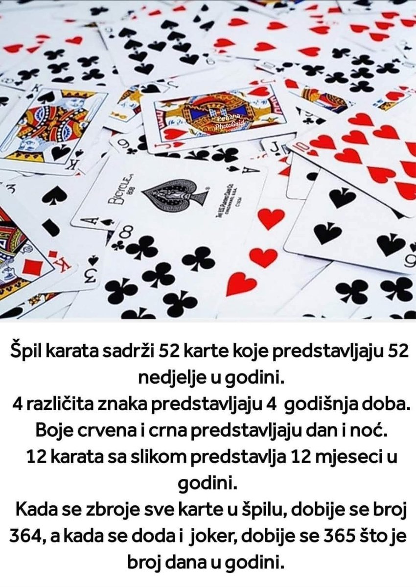 OlgaAdam tweet media