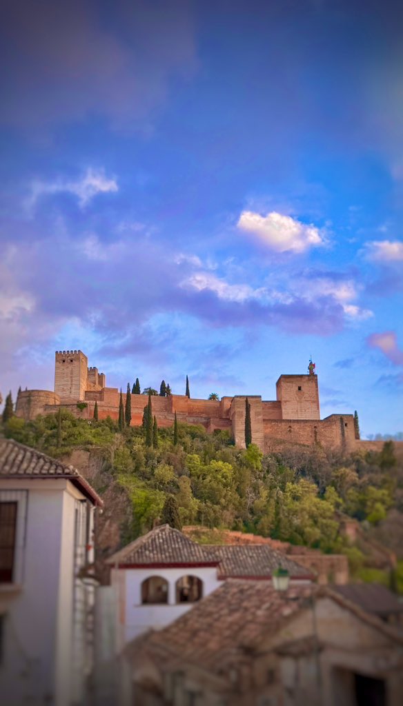 ۞ Óscar Rosales ۞ tweet media