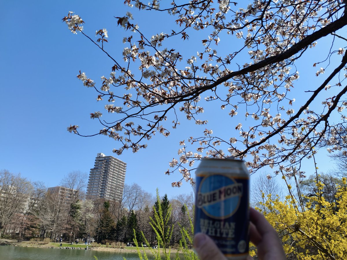 ベロっベロです。