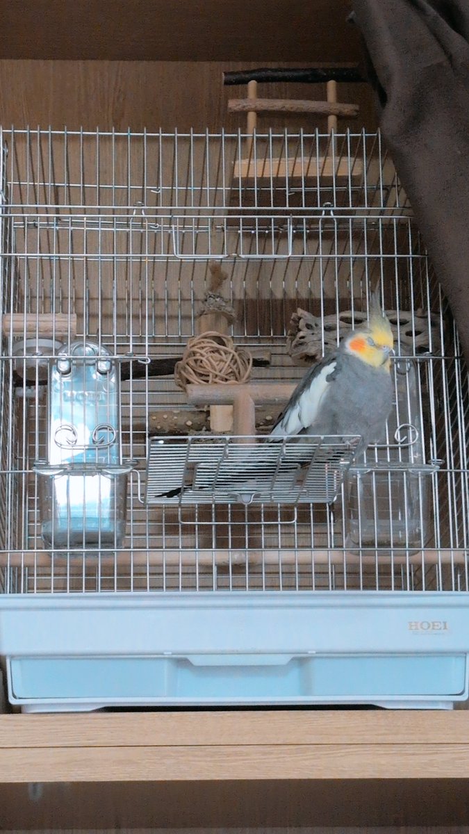 テロリス↩🐤 tweet media