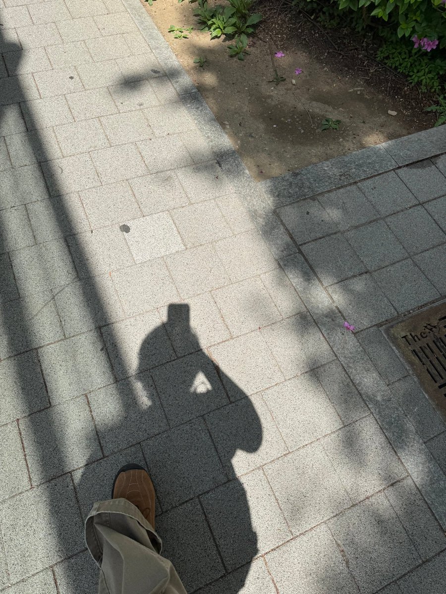 TENzenter tweet media