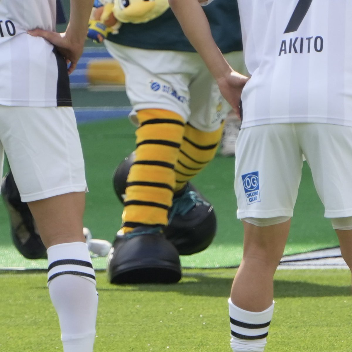 ブッキー tweet media