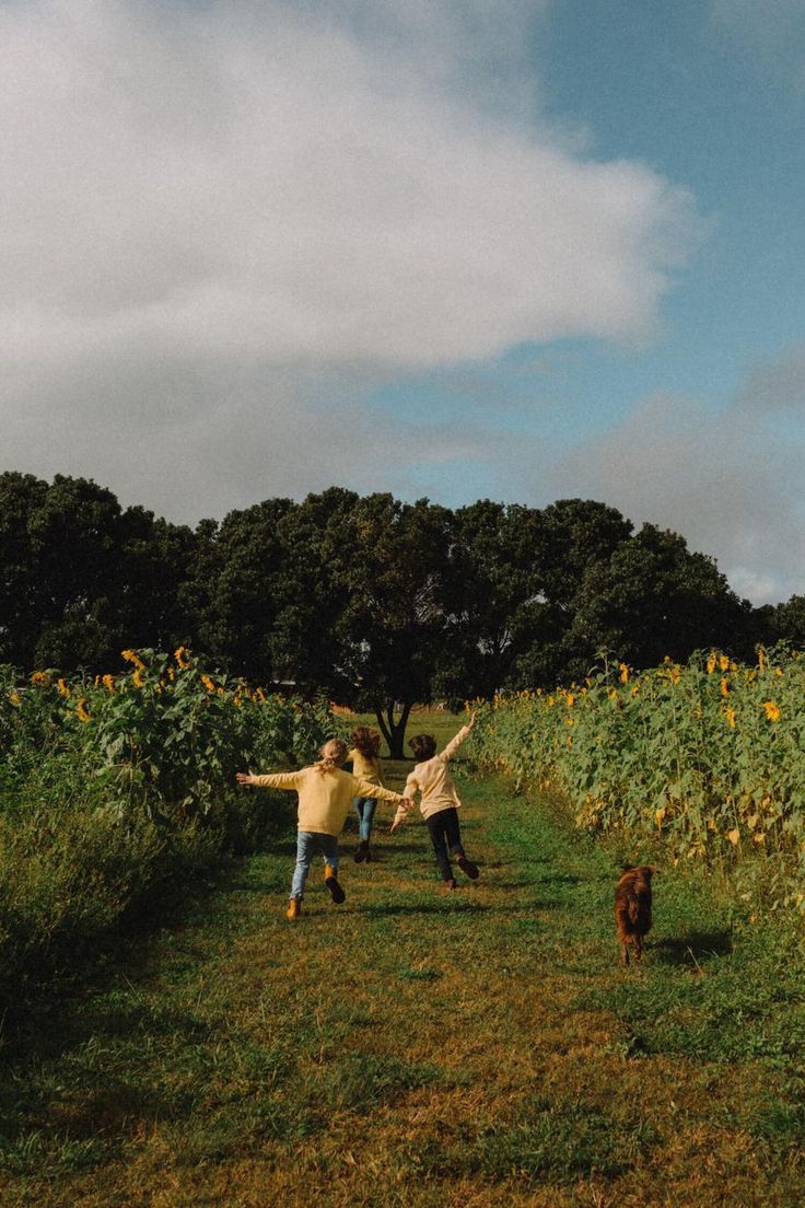 Poet's Photos (@poetsphotos1) on Twitter photo 