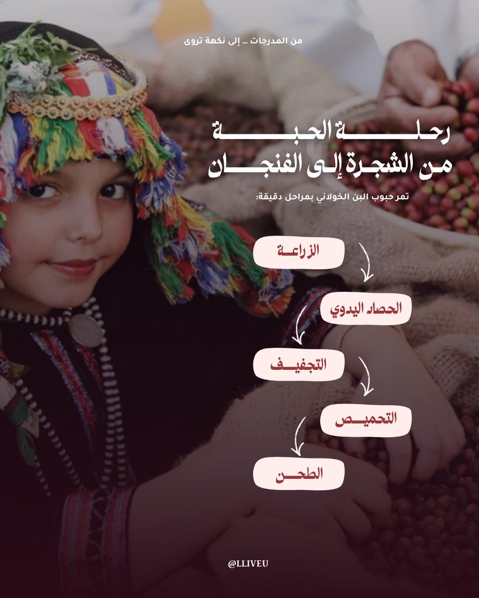 Nora | Graphic Designer tweet media