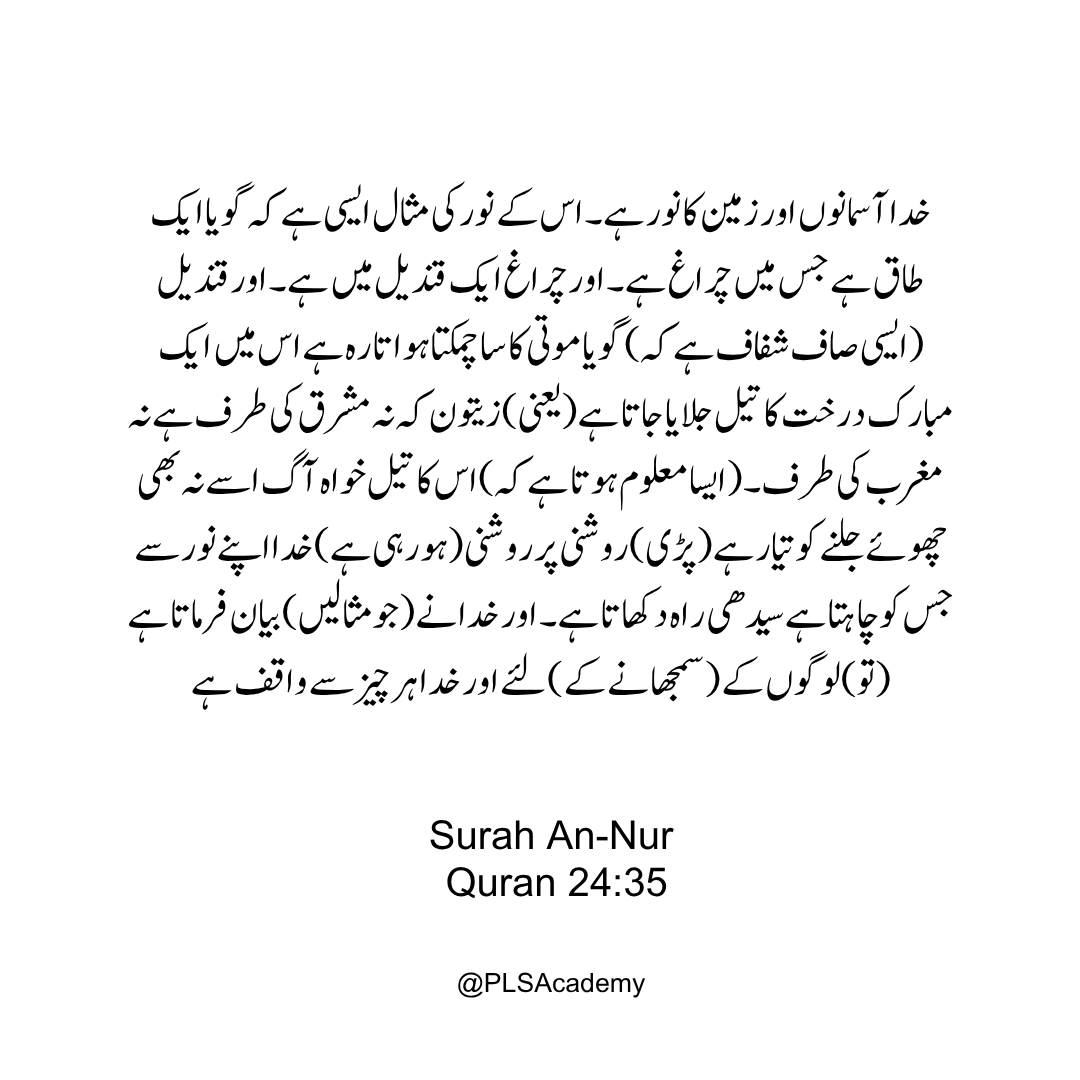 PLS Academy tweet media