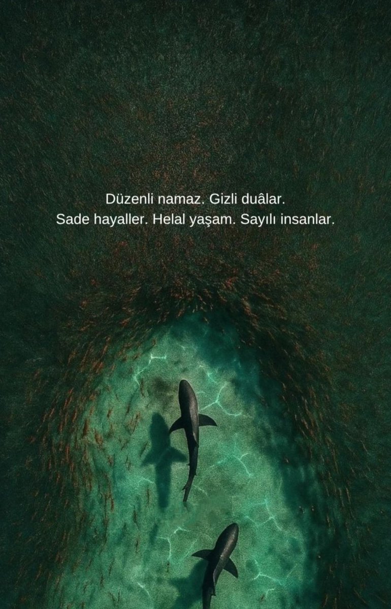 Sadâ-yı Hak tweet media