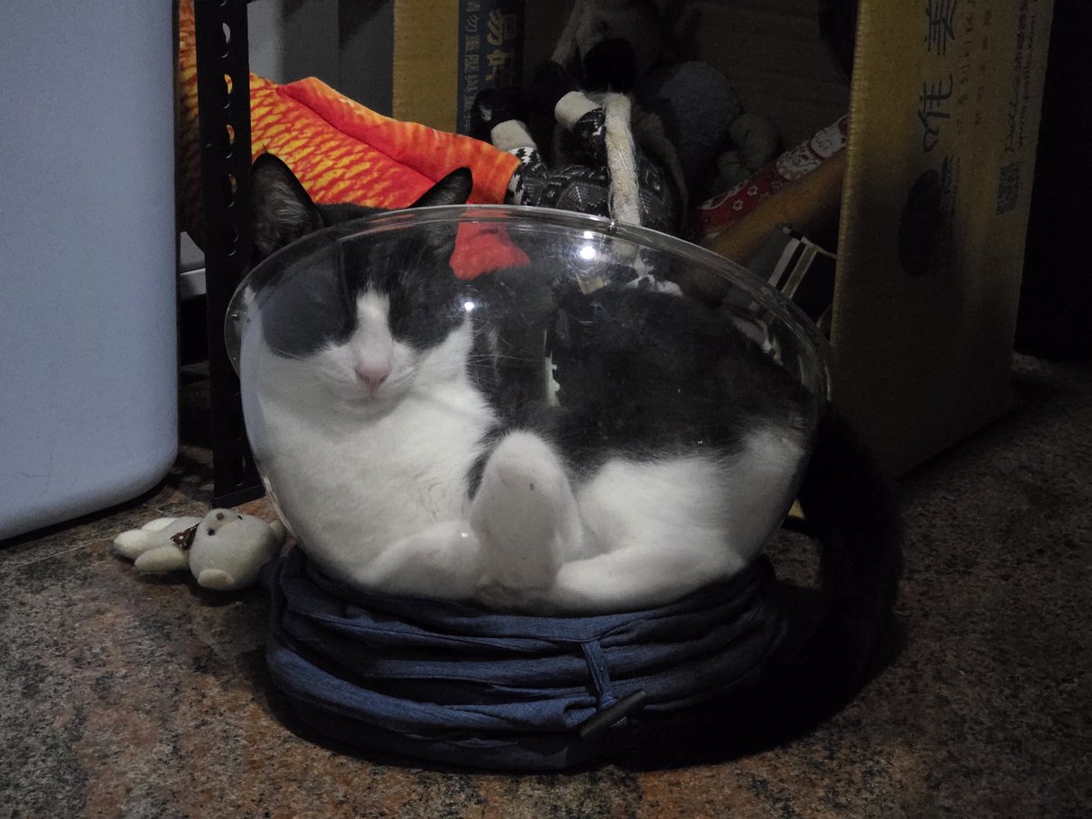 Emil Chou@台灣G+遺民 tweet media