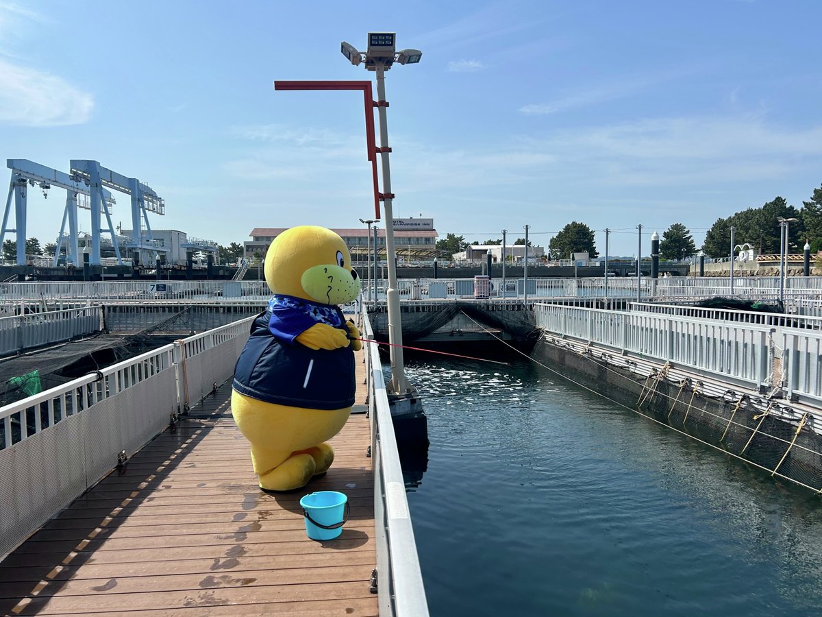_seaparadise_'s tweet photo. ＼本日4/19は #飼育の日 🎣／

本日はSNS担当が #シーパラ の飼育員たちをご紹介！

海の環境を身近に感じ、楽しく学べる水族館 #うみファーム の飼育員は、命の大切さを教えてくれます🙏🏻

海や命について考えるきっかけになると思いますよ🌊

#横浜八景島シーパラダイス #八景島 #シーパラシー太 https://t.co/4q4NycLOSl
