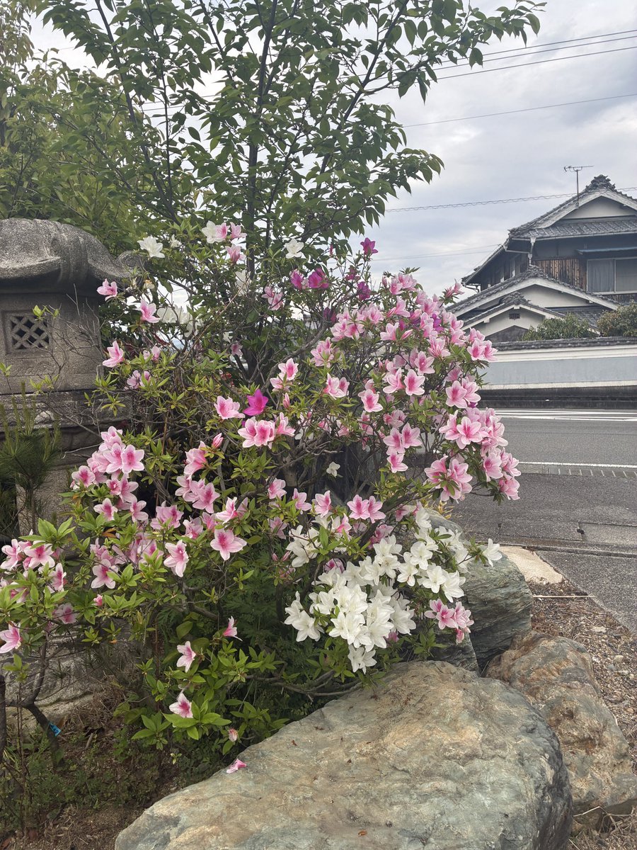 MeisterＪ@ｼﾞｭﾝﾁｬﾝ tweet media