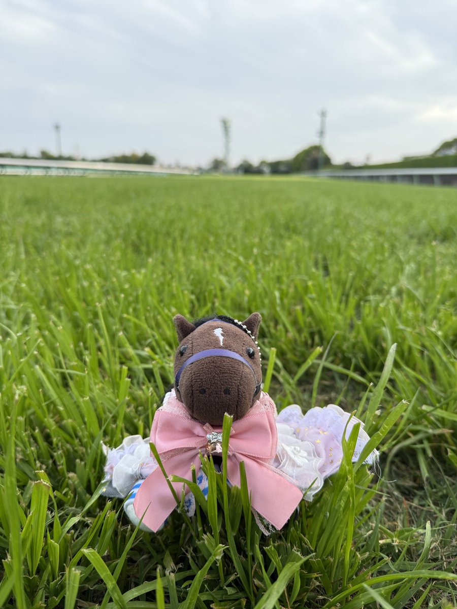 🌾玄米🌾 tweet media