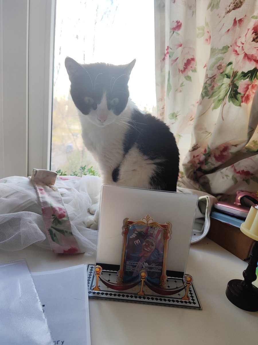 🎩PET VULTUЯE🎪 tweet media