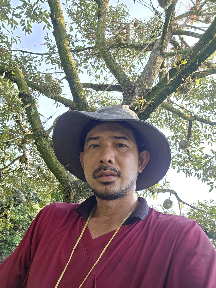 ฮอท tweet media